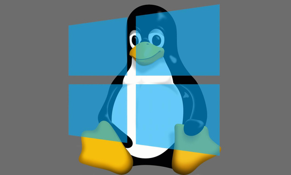 Windows Linux