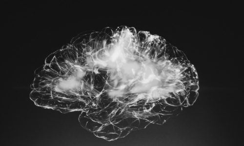 Machine learning blijkt handig bij het opsporen van hersentumoren