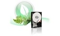 Western Digital Caviar Green 500GB (SATA2, 32MB)