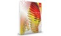 Adobe Fireworks CS6 Mac NL