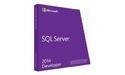 Microsoft SQL Server 2014 Developer Edition EN