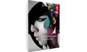 Adobe Creative Suits 6 Design Standard (DE)