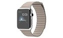 Apple Watch 42mm Stainless Steel Case, Stone Leather Loop, L