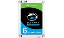 Seagate SkyHawk Surveillance 6TB