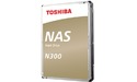 Toshiba N300 NAS 10TB (retail)