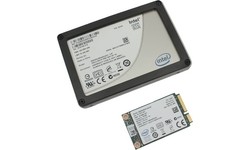 Intel 310 Series 80GB