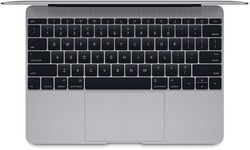 Apple MacBook 12" Retina Space Grey (MJY32N/A)