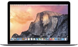 Apple MacBook 12" Retina Space Grey (MJY42N/A)