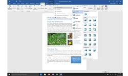 Microsoft Office 2016 Home & Business EN