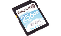 Kingston Canvas Go SDXC UHS-I U3 256GB