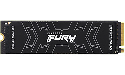 Kingston Fury Renegade 500GB (M.2 2280)