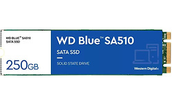 Western Digital WD Blue SA510 250GB (M.2 2280)