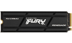 Kingston Fury Renegade 1TB + Heatsink (M.2 2280)