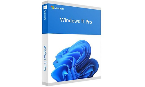 Microsoft Microsoft Windows 11 Pro (EN)