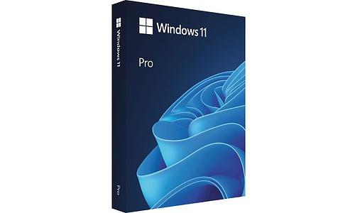Microsoft Windows 11 Professional (UK)